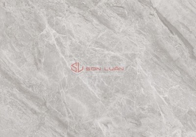 Gạch Ốp Lát APODIO 66284041